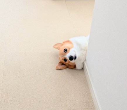 あ、ゴミ出し行ってたん?