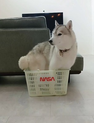 くるっと回って…