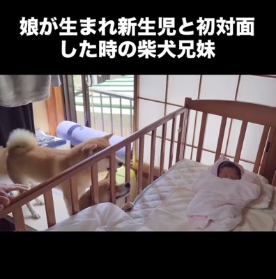 気になりすぎる…