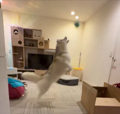 キャッチボール