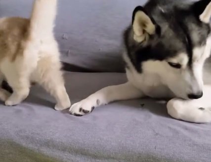 立ち去るじゅんちゃん