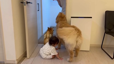 宿を楽しむ仲良し3兄妹♪