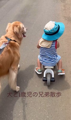 お散歩中のレアくんと赤ちゃん