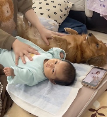 赤ちゃんも真顔！