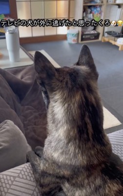 ソファでテレビ鑑賞