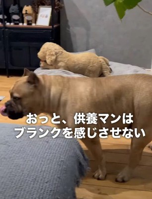 寂しくなっちゃうかな…？