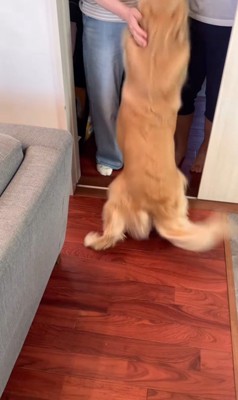 サンちゃんの熱烈歓迎6