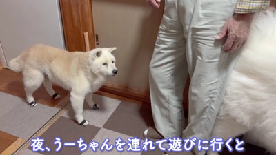 赤ちゃんが遊びに来た