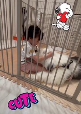 いつも優しく接している