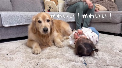 わんこと育った女の子