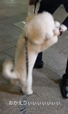 パパさんのお迎えに来たふう太くん5