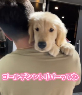 パピー期は圧倒的可愛さ!