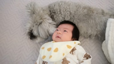 寄り添って寝てくれることも♡