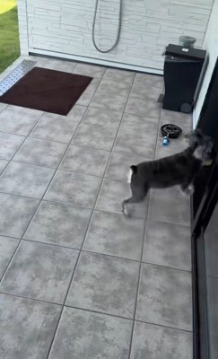 ボール遊び中のハプニング4