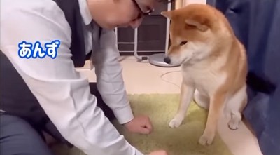 握り拳を差し出す