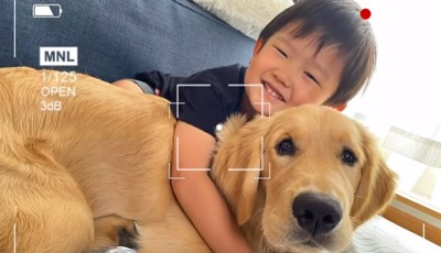 べったりくっつく人間の子どもとゴールデンレトリバーパピー
