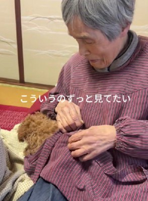いつまでも見ていたい…