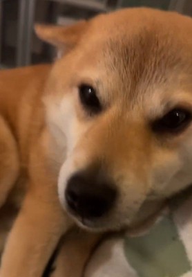 表情は最上級の喜び♡