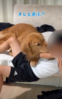 顔を近づける犬