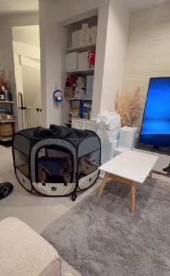 カオス状態になっていた…!