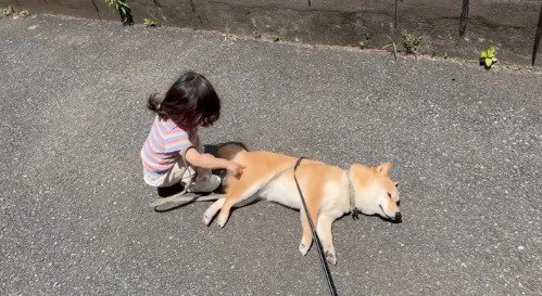道で寝そべる犬を指先で触る女の子