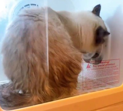 ロックを解除して…