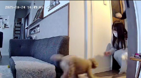 「やっぱり～！！」