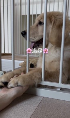 大満足のおこめちゃん