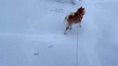 捜索を開始！！