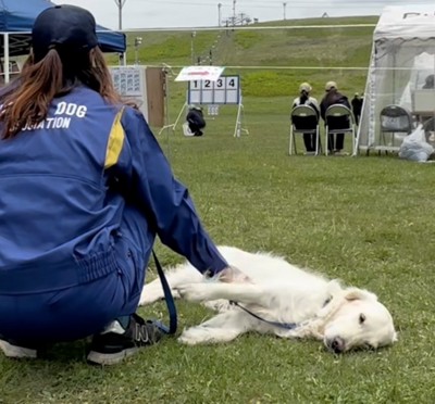 前足が人の腕からずり落ちている犬