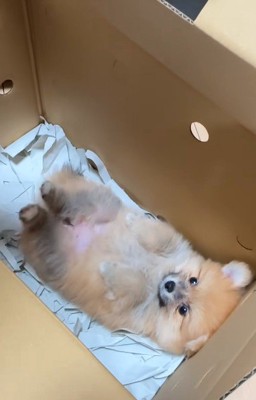 「起きられないよ～」