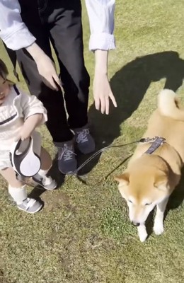 リードを持ったみーちゃん