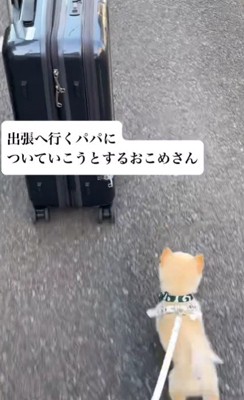 あまりの必死さに涙