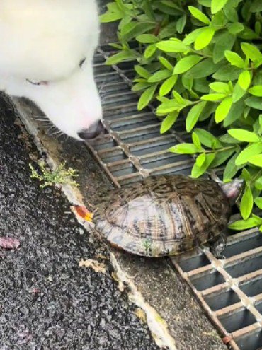 興味津々のぽぽちゃん