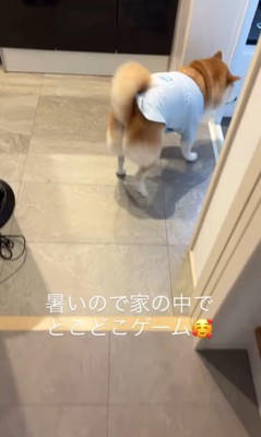 おもちゃ探しゲームをする忠太くん6