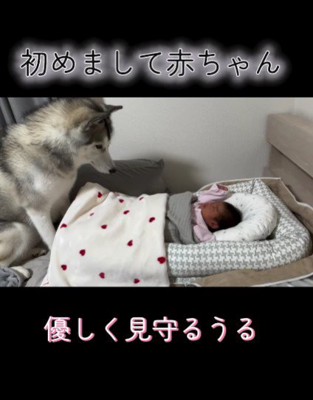 赤ちゃんと初対面