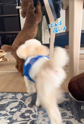 「遅いよ！待ってたんだよ～」