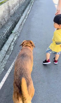 男の子を守る咲太郎くん3