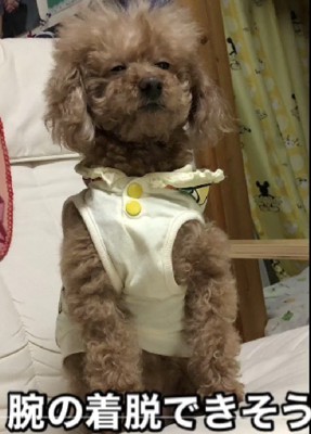 腕が外れそう！？