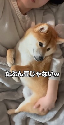 愛情は変わらない♡