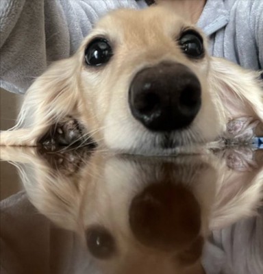 逆さ富士ならぬ