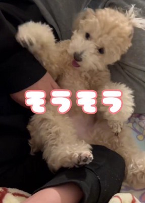 これからも幸せにね！