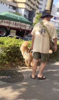 異変に気が付いた！