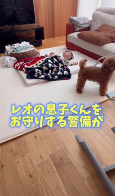 全力で警護するレオくん