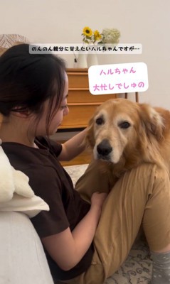 甘えながらご飯を気にするハルちゃん⑩