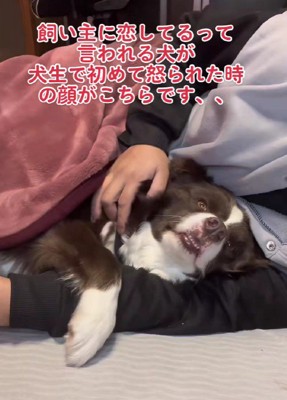 腕枕で寝るのがお気に入り