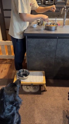 器に塩を入れるフリをする飼い主