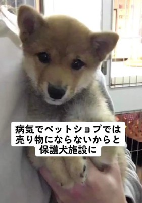 売りものにならない