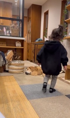 たお君を寝かしつける女の子8