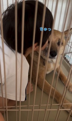 おふとん君と男の子3